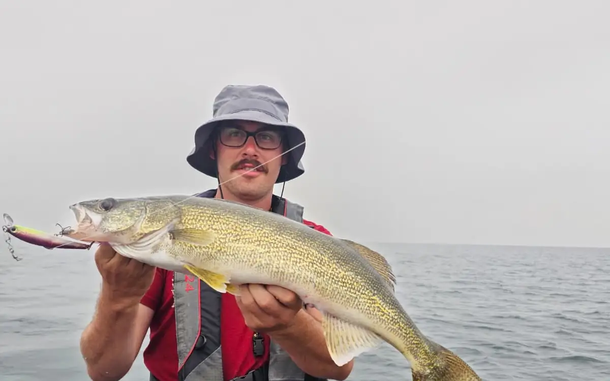 Angler holding a Lake Erie walleye still hooked to the jig that caught it